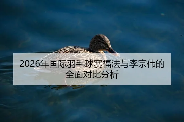 nian-guo-ji-yu-mao-qiu-sai-fu-fa-yu-li-zong-wei-de-quan-mian-dui-bi-fen-xi-2-272.jpg