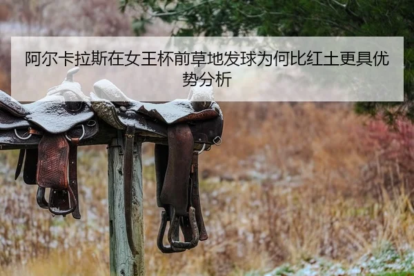 a-er-ka-la-si-zai-nv-wang-bei-qian-cao-di-fa-qiu-wei-he-bi-hong-tu-geng-ju-you-shi-fen-xi-2-993.jpg