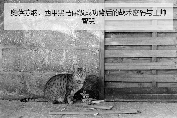 ao-sa-su-na-xi-jia-hei-ma-bao-ji-cheng-gong-bei-hou-de-zhan-shu-mi-ma-yu-zhu-shuai-zhi-hui-2-237.jpg