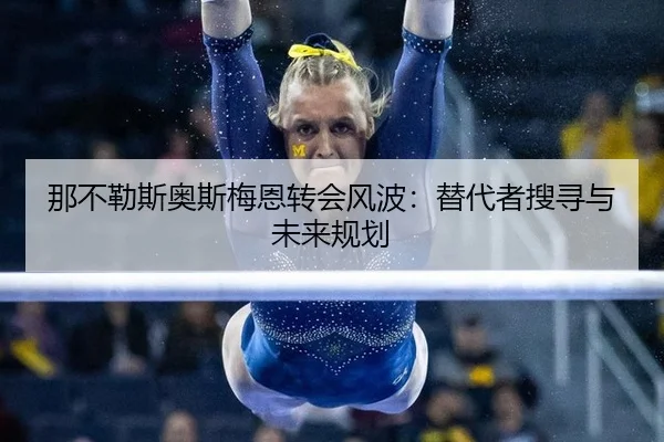 na-bu-le-si-ao-si-mei-en-zhuan-hui-feng-bo-ti-dai-zhe-sou-xun-yu-wei-lai-gui-hua-3-597.jpg