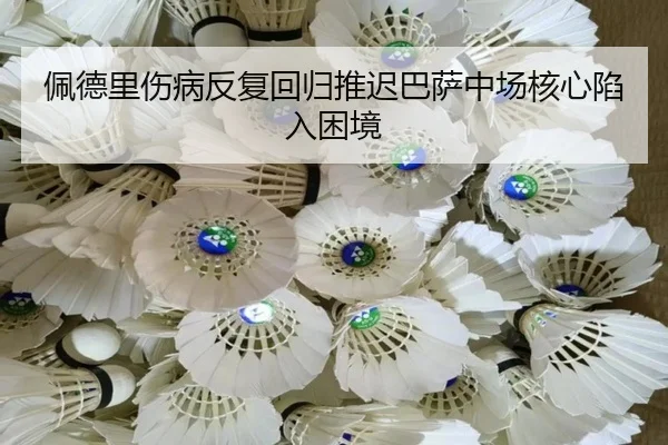 pei-de-li-shang-bing-fan-fu-hui-gui-tui-chi-ba-sa-zhong-chang-he-xin-xian-ru-kun-jing-2-138.jpg
